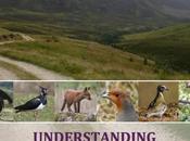 Moorland Forum Understanding Predation Report Launch