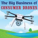 The Business of Drones Infographic