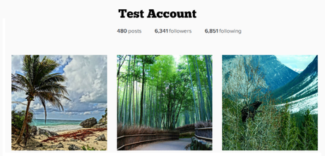 Building a Following on Instagram – Results of a One Month Test