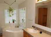 Questions Before Remodeling Your Bathroom