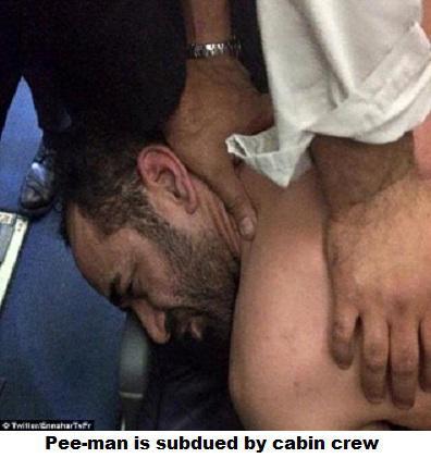 man who peed on passenger held down