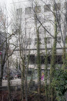Decadence _DSC5387
