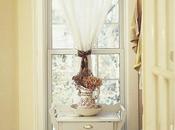 Take From Your Windows: Common Window Problems What They’re Telling