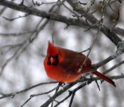 Through the (Dirty) Window