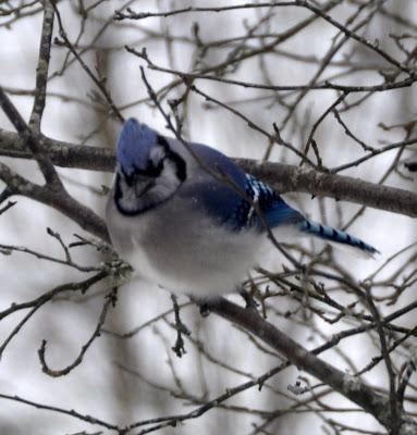 Through the (Dirty) Window