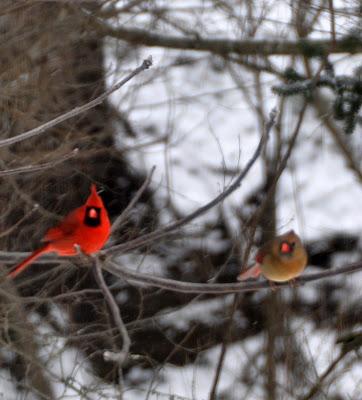 Through the (Dirty) Window