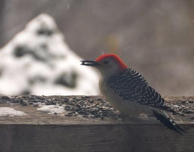 Through the (Dirty) Window