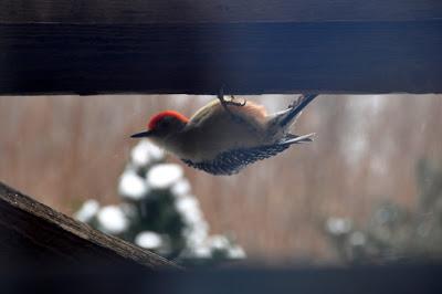 Through the (Dirty) Window