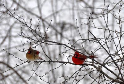 Through the (Dirty) Window