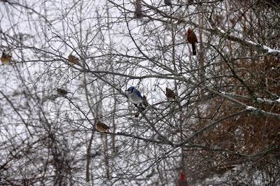 Through the (Dirty) Window