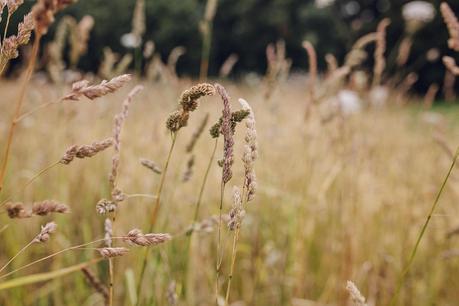 A Fun & Fabulous Auckland Garden Wedding With Captured By Keryn