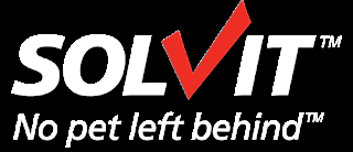 Solvit Makes Traveling With Your Pet Easy