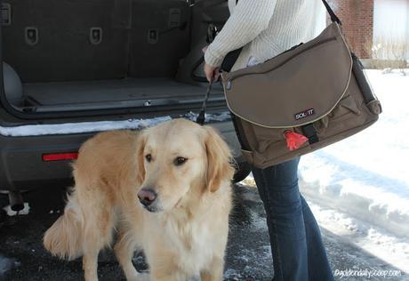 Solvit Makes Traveling With Your Pet Easy