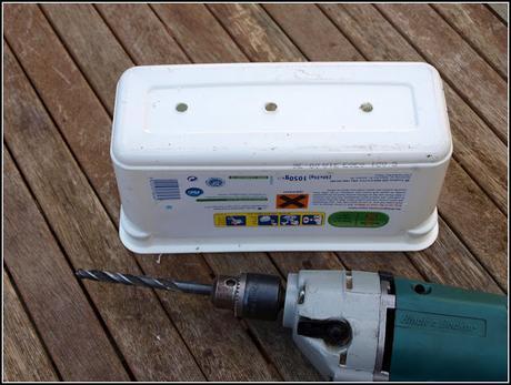 Sowing Broad Beans Sowing Broad Beans