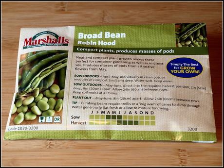 Sowing Broad Beans Sowing Broad Beans