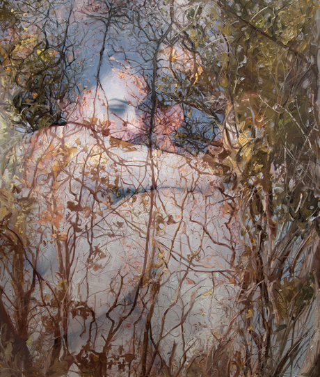 Alyssa Monks - new art direction - nature portraiture