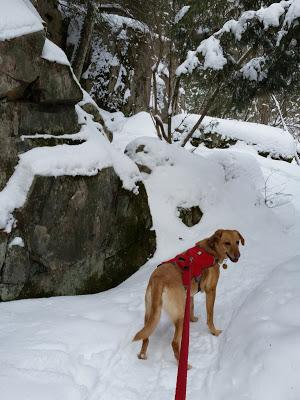 Hiking With Friends