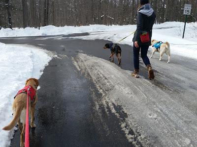 Hiking With Friends