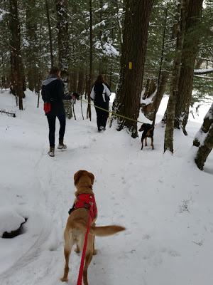 Hiking With Friends