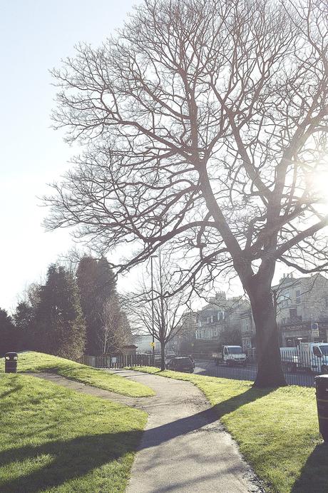 One Sunny Day In February