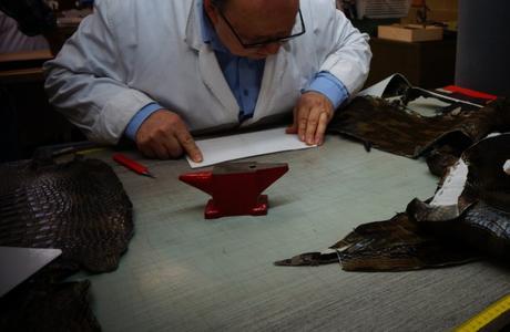 Growing up Artisan in Italy ! Can you teach someone expertise? Growing up Artisan in Italy ! Can you teach someone expertise?