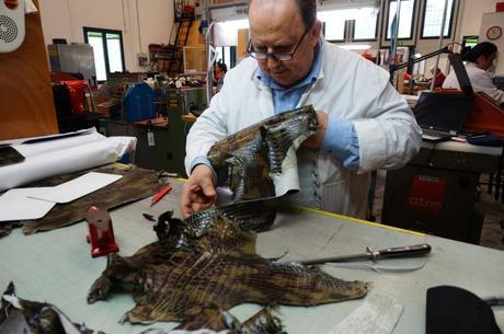 Growing up Artisan in Italy ! Can you teach someone expertise? Growing up Artisan in Italy ! Can you teach someone expertise?