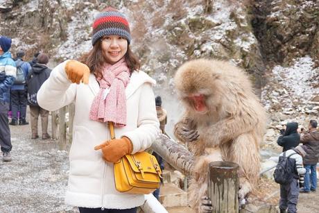 Jigokudani Snow Monkey Park in Japan