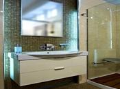 Choose Shower Screen?