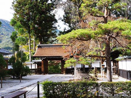 水舟のせせらぎが響く須原宿 / Suhara-juku, with murmuring water