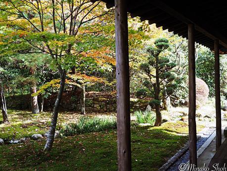 水舟のせせらぎが響く須原宿 / Suhara-juku, with murmuring water