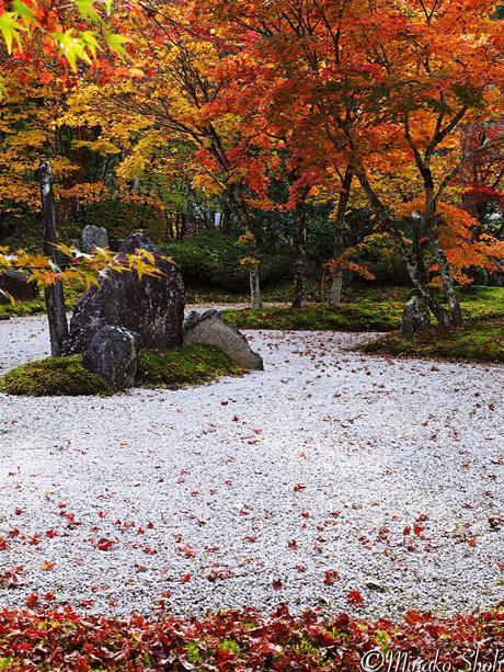 水舟のせせらぎが響く須原宿 / Suhara-juku, with murmuring water