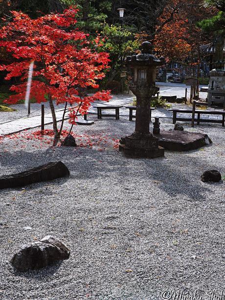 水舟のせせらぎが響く須原宿 / Suhara-juku, with murmuring water