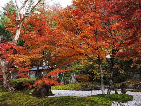 水舟のせせらぎが響く須原宿 / Suhara-juku, with murmuring water