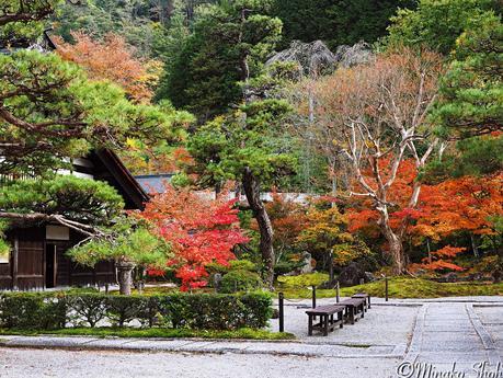 水舟のせせらぎが響く須原宿 / Suhara-juku, with murmuring water