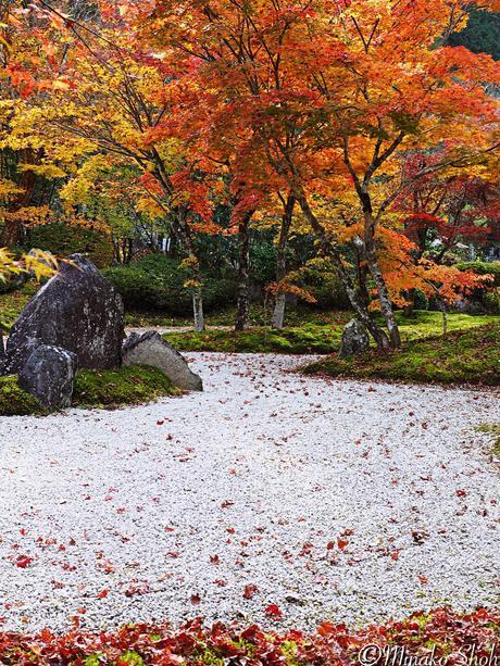 水舟のせせらぎが響く須原宿 / Suhara-juku, with murmuring water