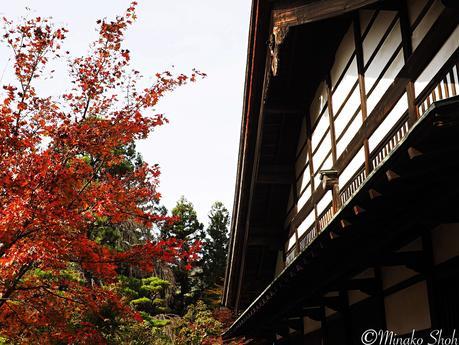 水舟のせせらぎが響く須原宿 / Suhara-juku, with murmuring water