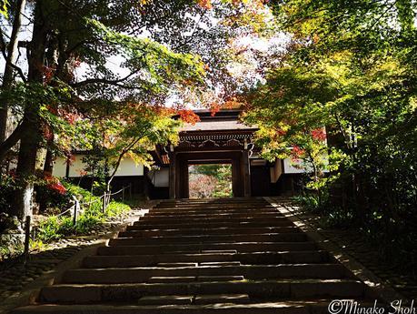 水舟のせせらぎが響く須原宿 / Suhara-juku, with murmuring water