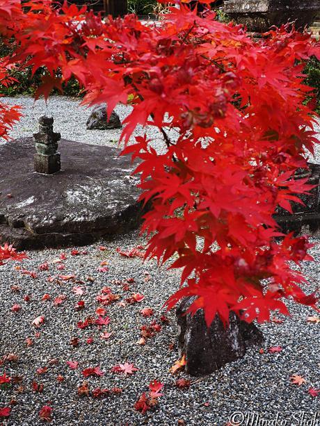 水舟のせせらぎが響く須原宿 / Suhara-juku, with murmuring water