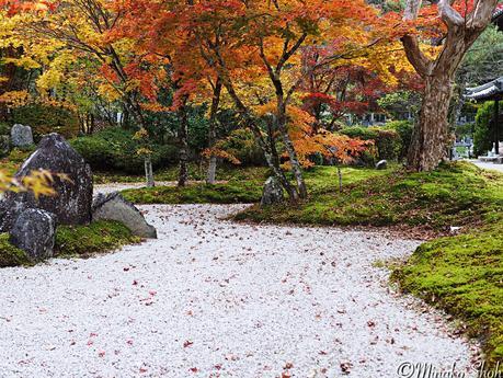 水舟のせせらぎが響く須原宿 / Suhara-juku, with murmuring water