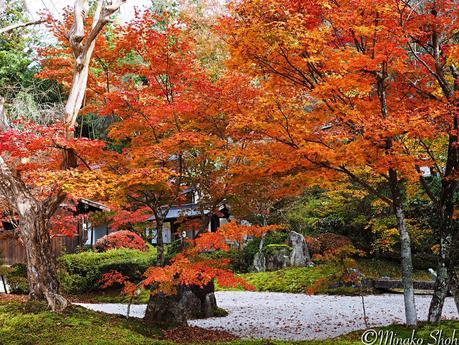 水舟のせせらぎが響く須原宿 / Suhara-juku, with murmuring water