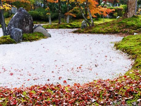 水舟のせせらぎが響く須原宿 / Suhara-juku, with murmuring water