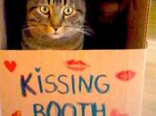 Super Smoochy Kissing Booth Cats