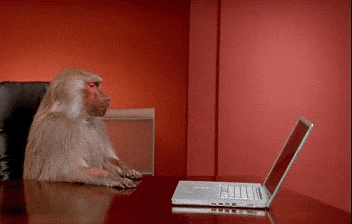 Monkey laptop macbook