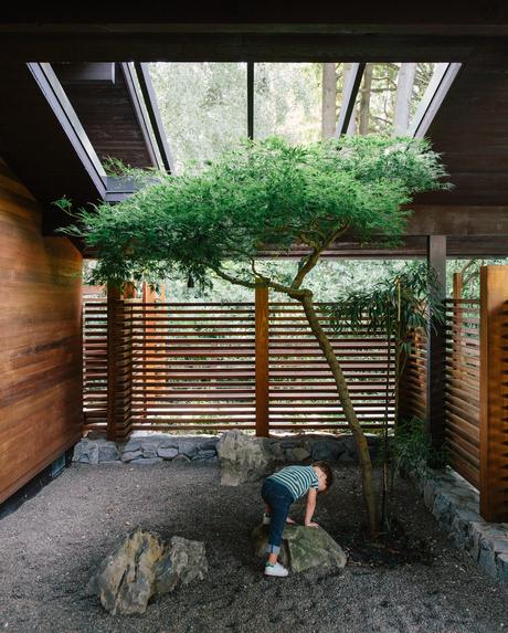 A tree grows in a renovated Portland home's interior courtyard.  