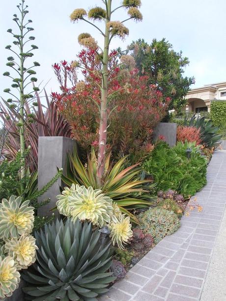 Xeriscaping, Drought Tolerant Land Cover