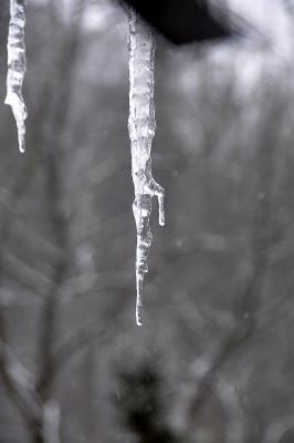 A Downward Trend . . . . .