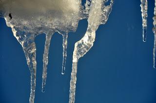 A Downward Trend . . . . .