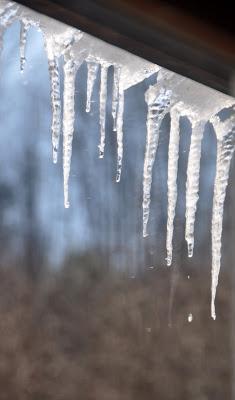 A Downward Trend . . . . .