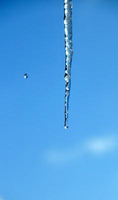 A Downward Trend . . . . .