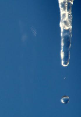 A Downward Trend . . . . .